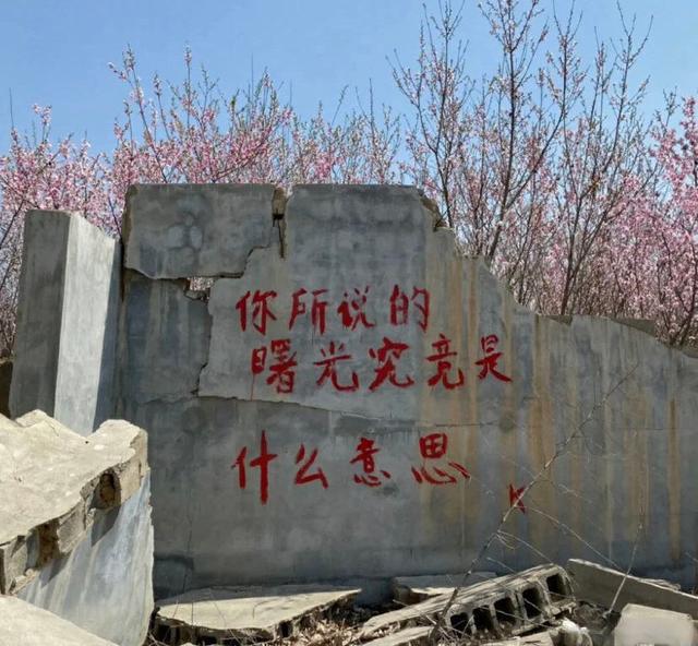 qq名片照片墙8组图，qq照片墙8张照片怎么设置（QQ名片背景图片文字）