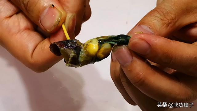 海螺怎么做好吃，冷冻的海螺怎么做好吃（螺肉不老更鲜美）
