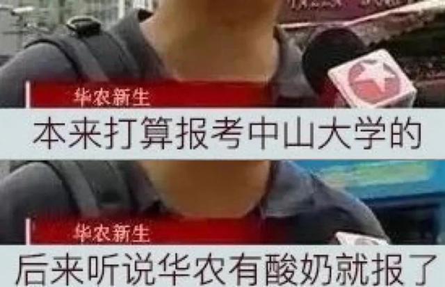 怎样自制苹果枸杞酸牛奶，自制酸奶加水果（全国各地的宝藏酸奶都在这儿了）