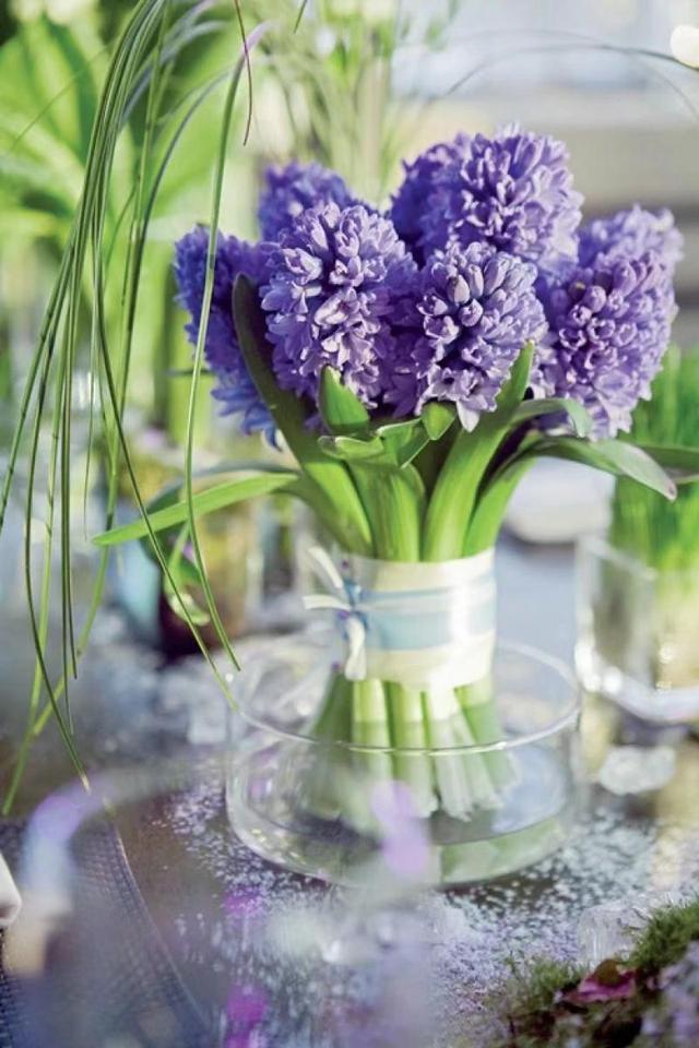 百合花的根如何保存，百合花的球根怎么保存（保证幼苗分化来年继续开花）