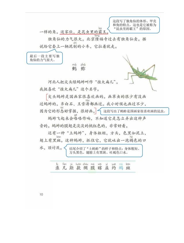 独角仙的特点是什么，独角仙的特点是什么什么,分别用了什么什么什么的方法（三年级语文下《第一单元课堂笔记》三个版本）