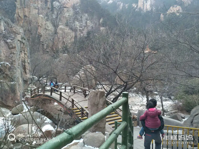 多少父母杀了自闭症，为什么大多数自闭症孩子的父母都是高学历（3个自闭症家庭的脱轨人生）