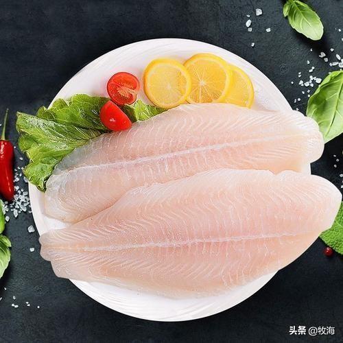 白金枪鱼是什么鱼，白金枪鱼和红金枪鱼哪个贵（天价蓝鳍金枪鱼及其背后的秘密）