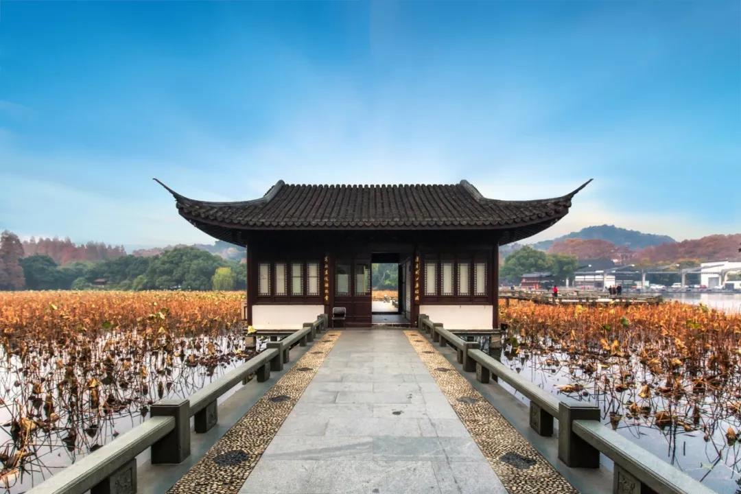 黑心是什么意思(黑色爱心的寓意和象征)