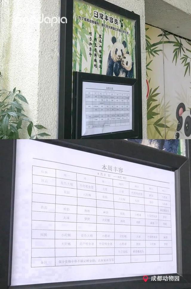 动物园都有什么，北京动物园都有什么（你只看到它们辛勤的玩耍）