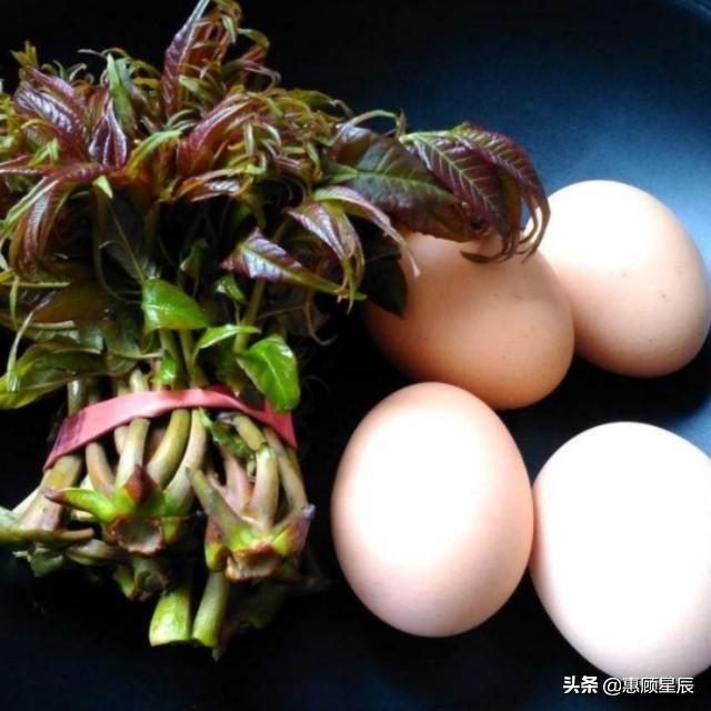 香椿子怎么吃，香椿子怎么吃降血压（样样简单一咬满口香）