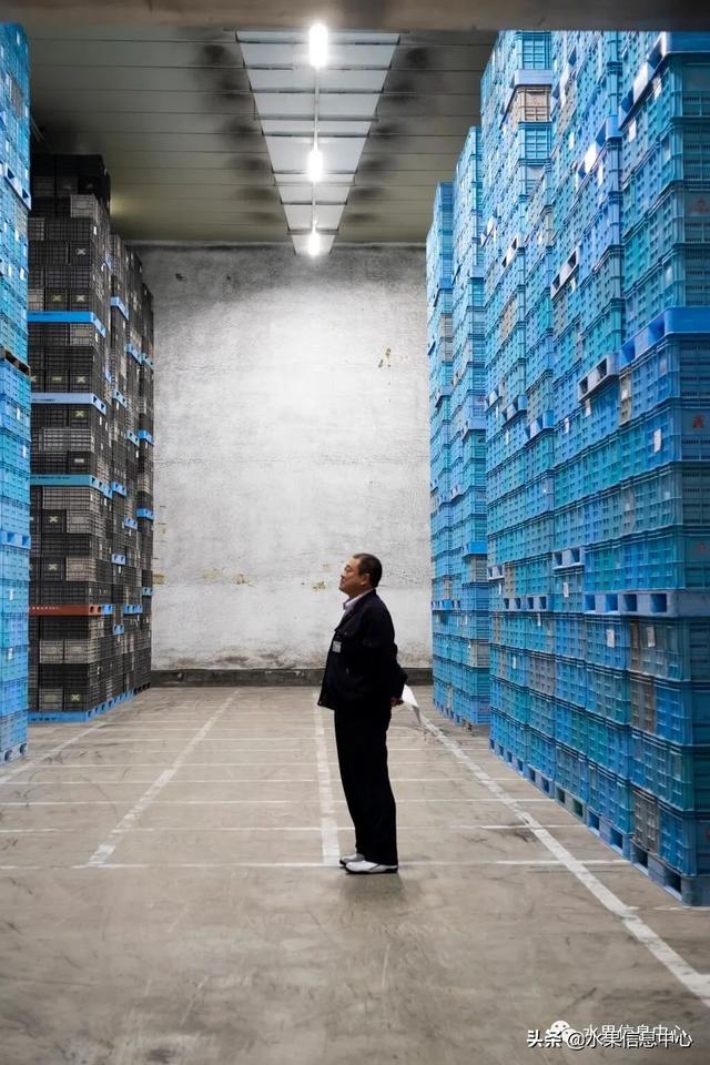 果蜜是什么，柠檬果蜜是什么（走进日本苹果第一大县“青森县”）