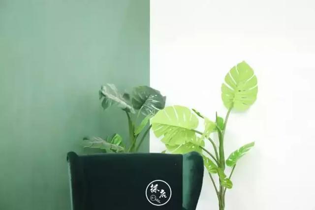 厦门双子塔图片，厦门双子塔附近海边旅游攻略（整个夏天想和你环游世界~）