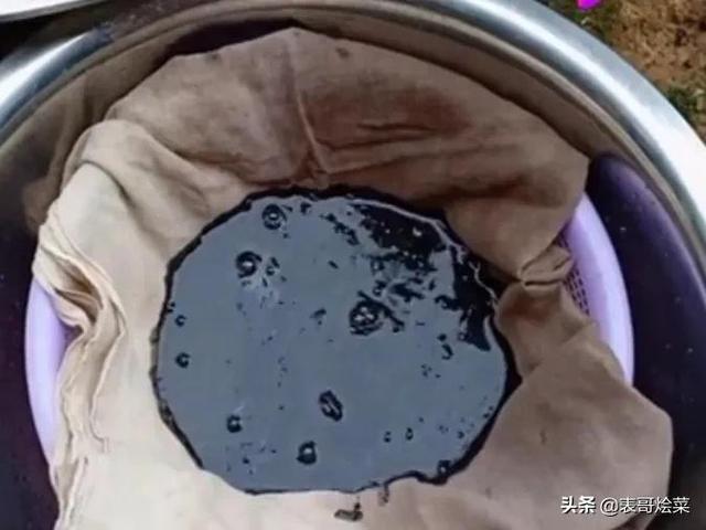 广西老家端午节的特色粽子，广西人爱吃大“粽子”