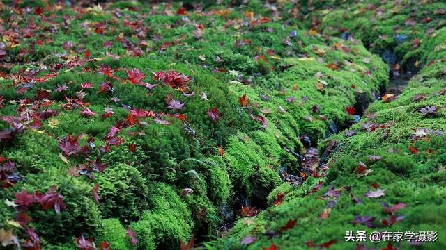 如何选择uv镜，怎么选择uv镜（CPL偏光镜、ND减光镜、UV镜如何选）