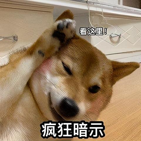 警犬多少钱一只(中国最厉害的警犬)