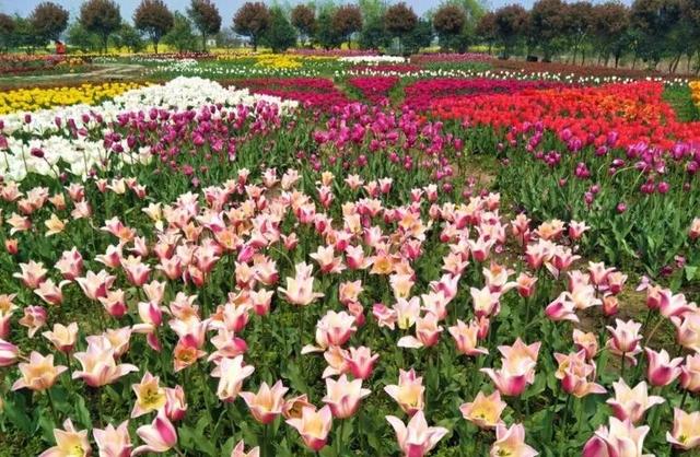 湖北省黄冈的区号是多少，黄冈地区的区号是多少（湖北这5个地方被国家看上）