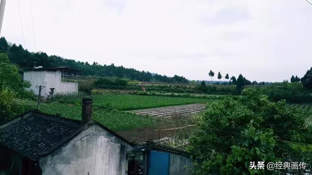 怀孕初期能喝茶吗，怀孕能喝茶吗（饮茶好，这份忌茶清单也要牢记）
