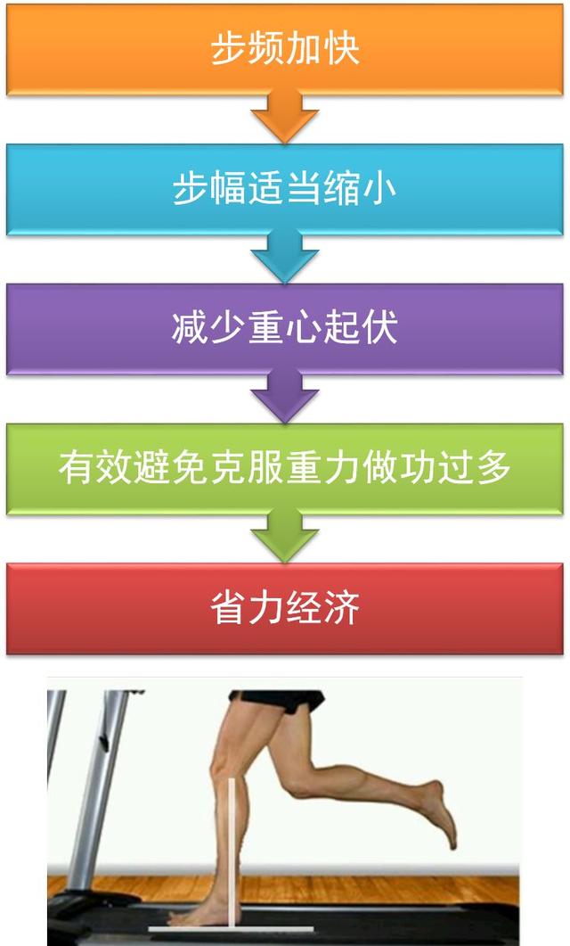 竞走的正确姿势视频,竞走式跑步的准确动作视频(名将刘虹447配速打破