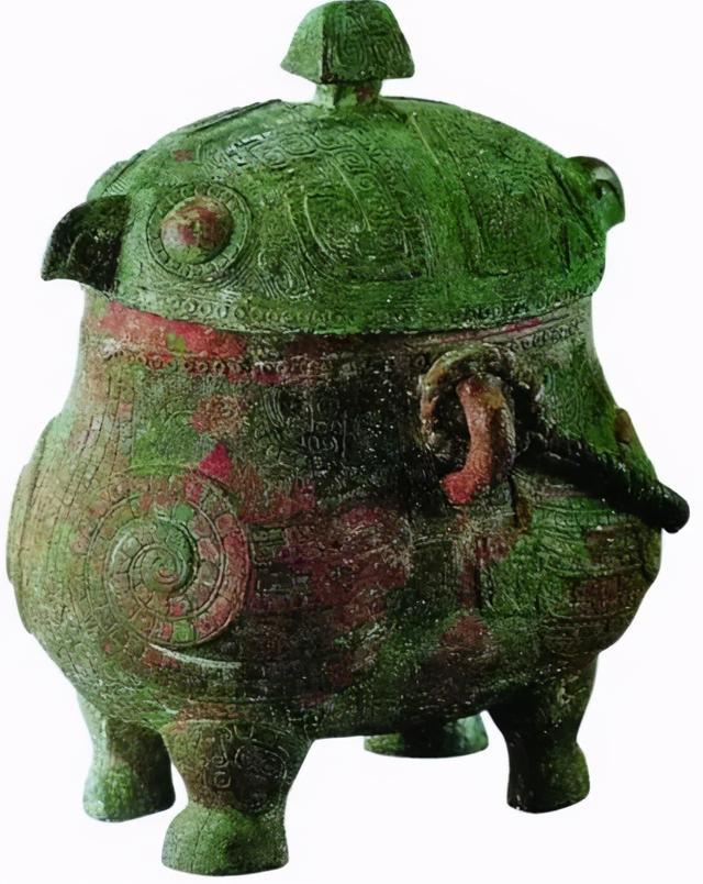 养雪鸮犯法吗，宠物雪貂多少钱一只（猫头鹰的构造原来这么奇葩）