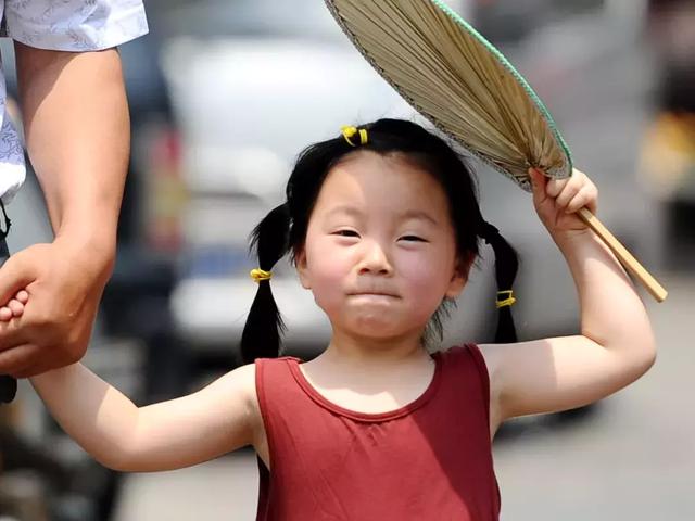 冬至饺子夏至面下一句是什么，冬至饺子夏至面完整句子是什么（今日夏至，向阳而立，拥抱缤纷）