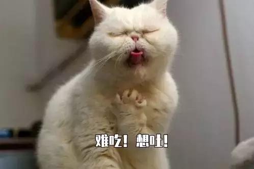 猫咪不吃猫粮什么原因，猫不吃猫粮有几种情况（猫咪突然不爱吃猫粮了是什么原因）