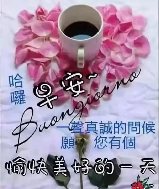 早安吉祥祝福语，阳光治愈系暖心的正能量祝福图片