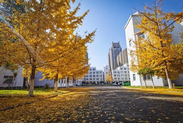 辽东学院宿舍条件怎么样，辽东学院宿舍几人间（辽宁省普通高等院校）