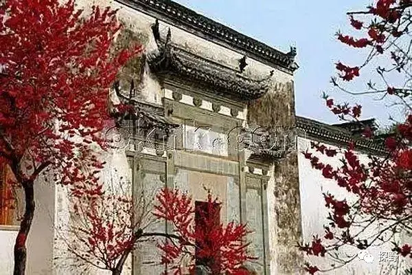 安徽月亮湾自驾游攻略，安徽月亮湾风景区（安徽这5条安徽自驾游经典线路必须去）