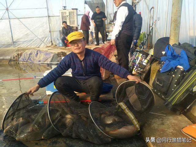 鱼怎么处理，八爪鱼怎么处理（轻松把鱼带回家）