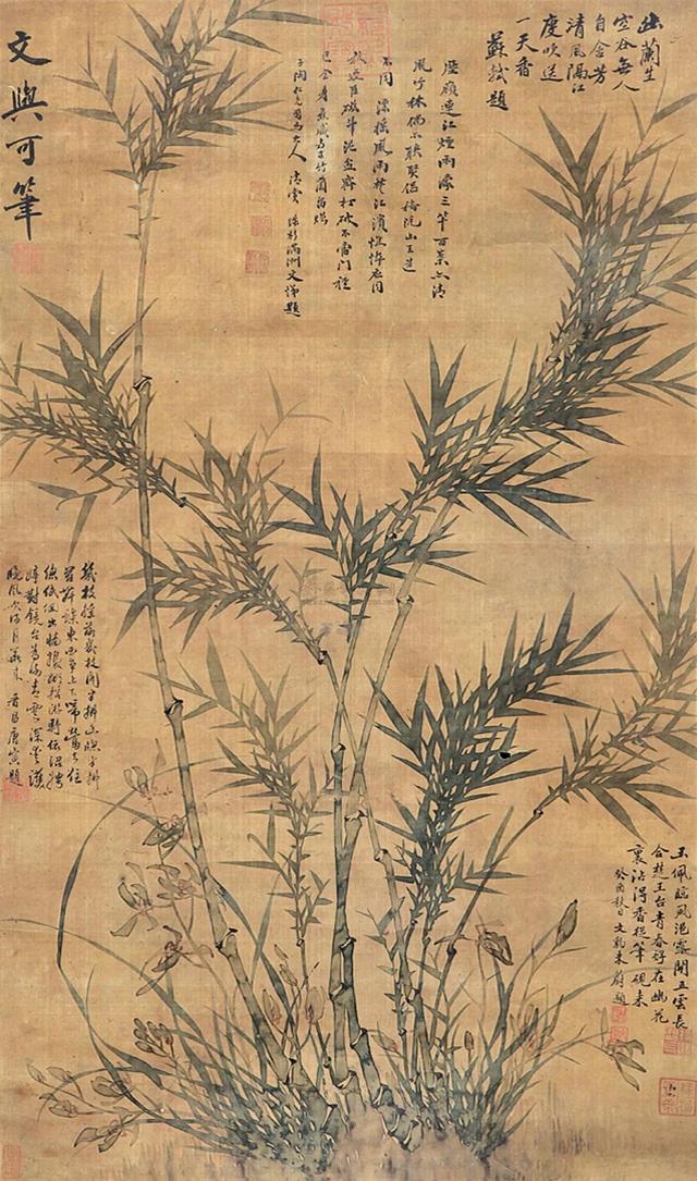 电视剧在桃花盛开的地方霞子是谁的孩子，电视剧在哪桃花盛开的地方、少花的孩子是（<历代名家画竹清赏>）