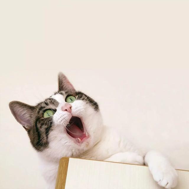 孔刘表情包！！！太帅了，微信头像，孔刘表情包！！！太帅了（我们从你的微信头像）