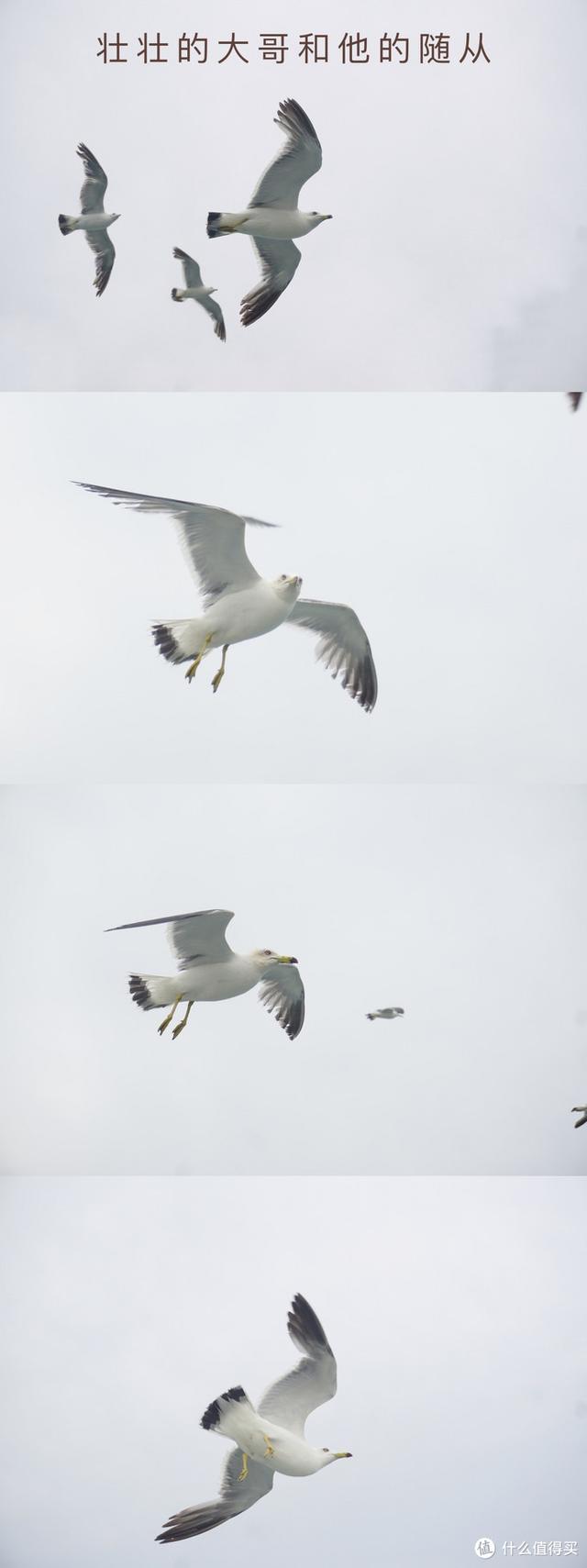 长岛旅游攻略，长岛旅游攻略必玩的景点（周末随心飞之烟台长岛2天1晚小攻略）
