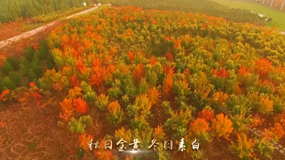 浮沱河在什么地方，滹沱河游玩攻略（——石家庄的母亲河）