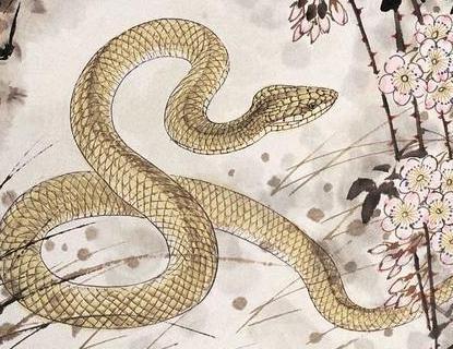 遇到死蛇有什么预兆，梦见死蛇是什么预兆（更别滥捕滥食野生动物）