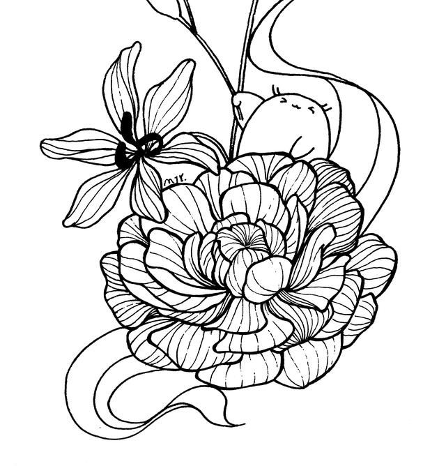 初学画画如何入门，画画入门初学技巧（好看的入门简笔画）