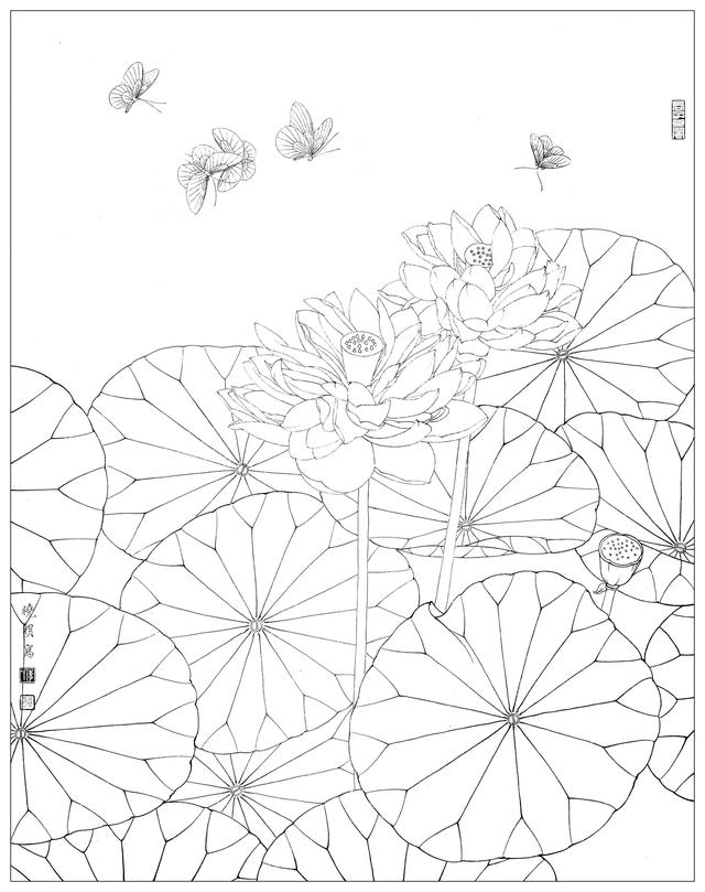 工笔荷花白描，高清工笔荷花白描 110幅