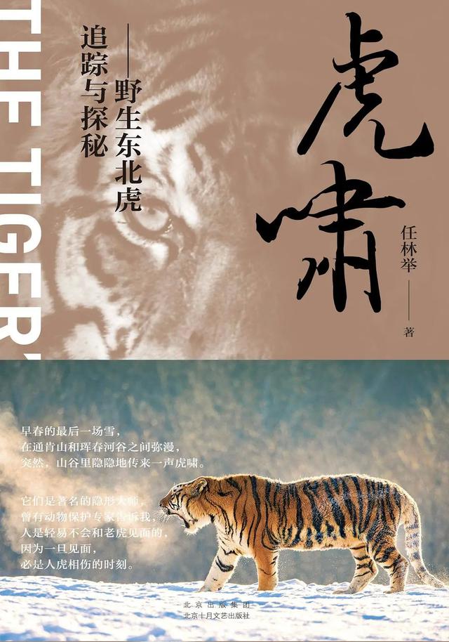 小清新壁纸  独角兽/插画.入目无别人 四下皆是你，小清新壁纸 唯美 文艺（探照灯书评人好书榜7月入围非虚构原创好书发布图片）