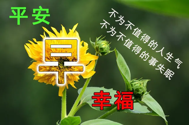 早上好的問候美句有哪些(早上好問候語溫馨短句2021)