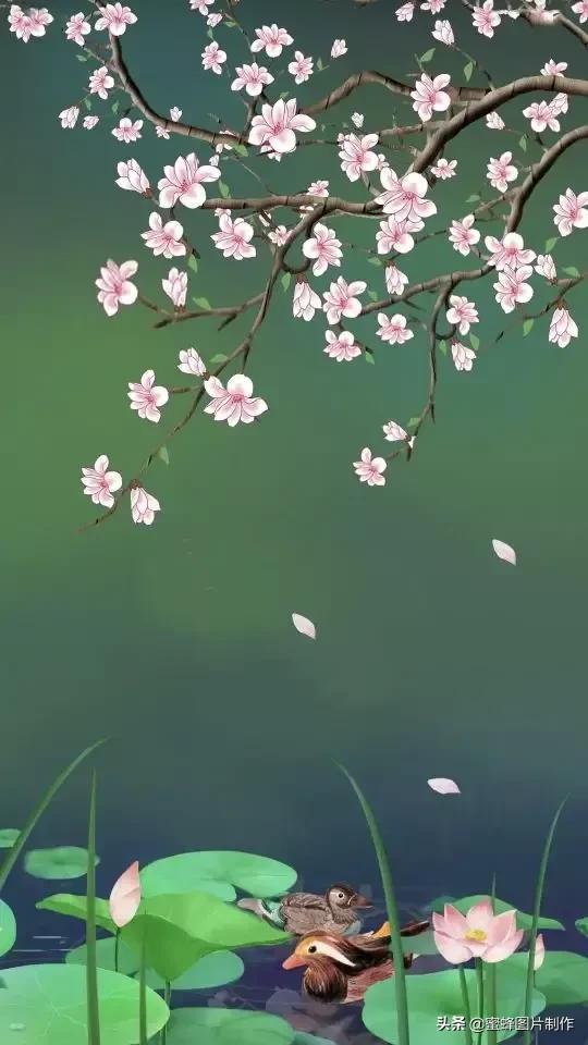 清新图片背景(背景图片简约清新可爱)