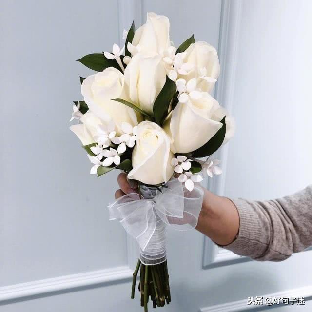 表达爱意的句子，楚辞中表达爱情的句子（适合发朋友圈最好听的情话）