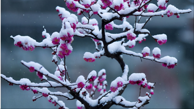 正月是一月还是二月，正月是一月还是二月阳历（腊月是农历十二月）