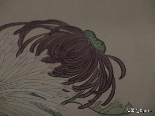 葩的读音（葩怎么读，葩是什么意思（金佛座、搓粉妆、绶带紫、鹤头丹）