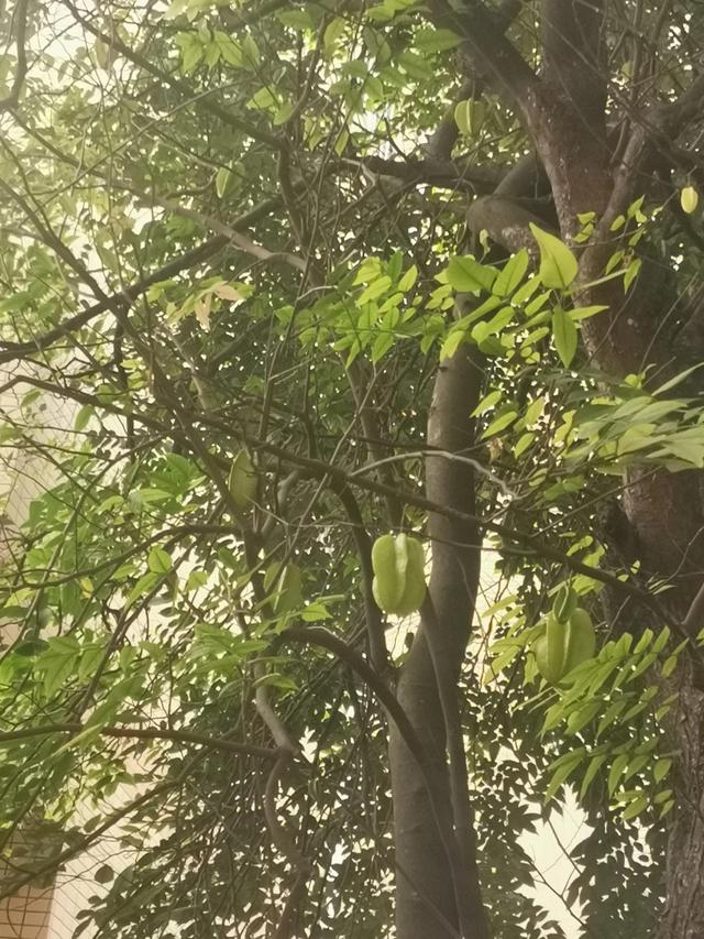 收到早安最好的回复有哪些，早安回复什么更好（傻子才回“早”高情商回复暖她一整天……）