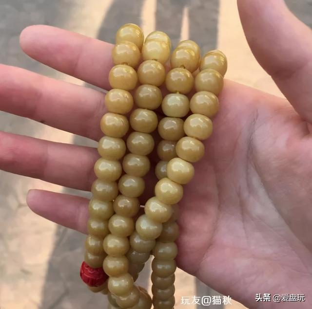 象牙果是什么东西，象牙果是什么东西（真的入手生润）