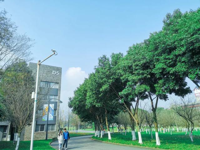 成都东软信息技术学院,成都东软学院是一本还是二本(这里是成都东软学院) 成都东软信息技术学院,成都东软学院是一本还是二本(这里是成都东软学院)