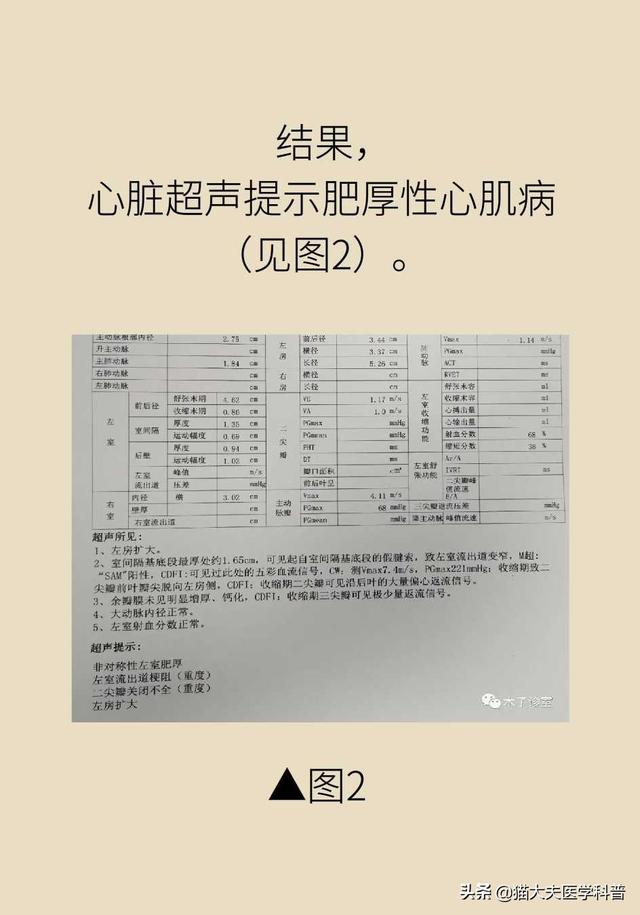 心肌缺血的原因，心脏缺血怎么办怎么补（心肌为什么会缺血）