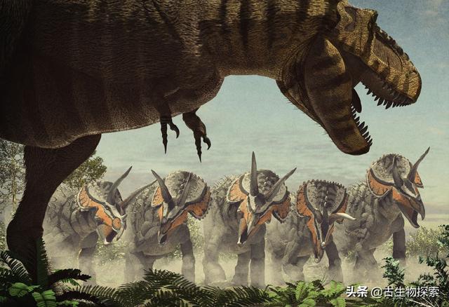 triceratops，triceratops是什么恐龙（三角龙能反杀霸王龙）