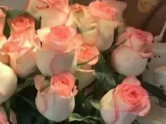 万事顺遂下一句是什么，未来可期什么意思 表达什么（温暖‖万事顺遂.毫无蹉跎）