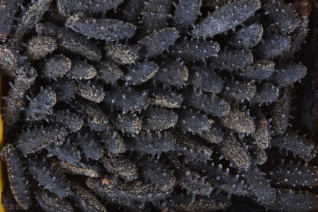 人造海参如何鉴别，人工合成海参的识别（海参也有真假？你能分得清吗）