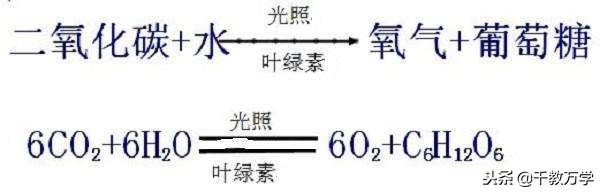 二氧化碳是有机物吗，二氧化碳的物理与化学性质及在生活中应用举例