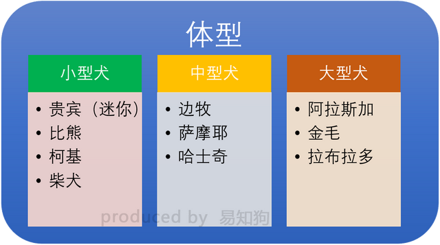 常见犬类品种大全，犬分类品种大全（国内十大流行犬种横向对比）