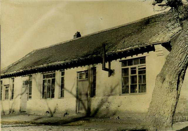 萧红的历史背景，萧红百度百科（萧红：生死场上的勇敢跋涉者）