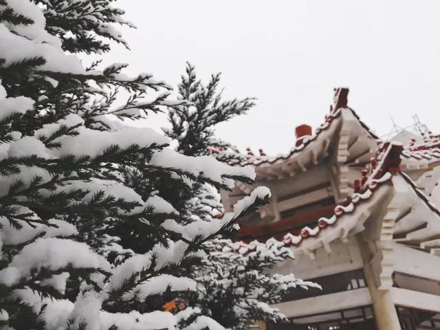 辽东学院宿舍条件怎么样，辽东学院宿舍几人间（辽宁省普通高等院校）