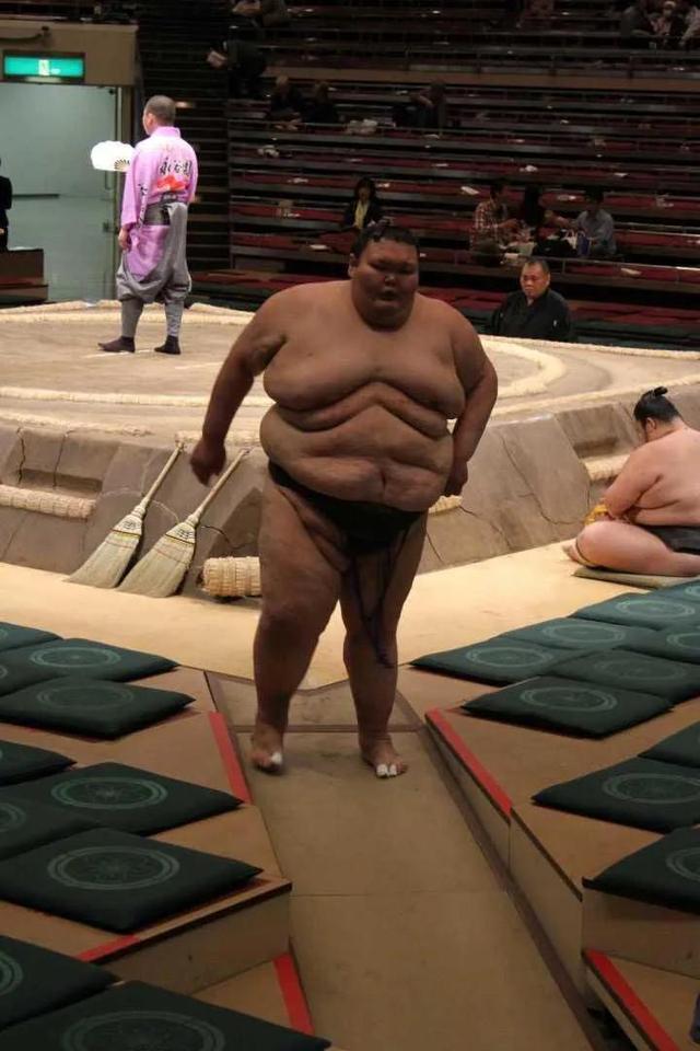 相扑等级是怎样的，相扑分级别吗（你所不知道的“日本相扑”）